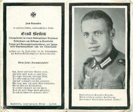 Seibitz Ernst