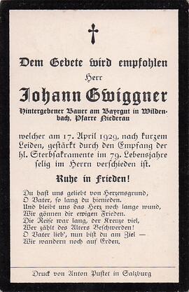 Gwiggner Johann 2