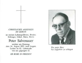 Salvenauer Peter