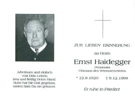 Haidegger Ernst