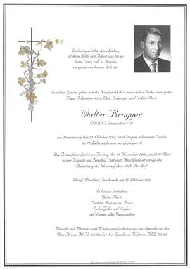 Brugger Walter G