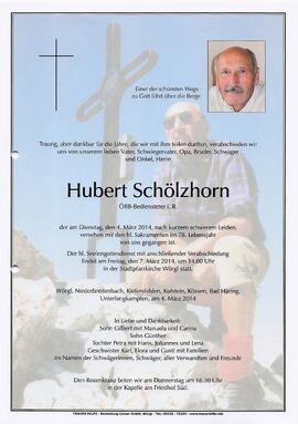 Schölzhorn Hubert G