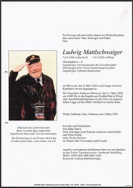 Mattlschwaiger Ludwig