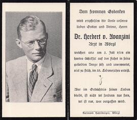Avanzini Herbert v. Dr.