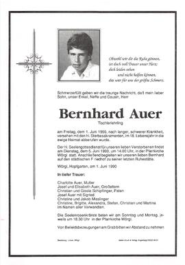 Auer Bernhard G