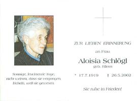 Schlögl Aloisia geb. Bliem